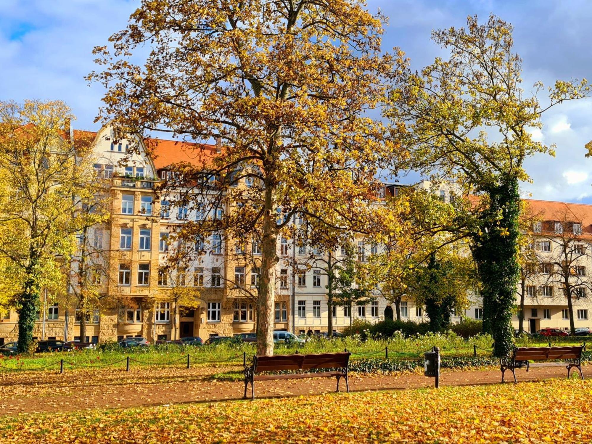 Kleinod Am Park - Zentrum-Suedost Leilighet Leipzig Eksteriør bilde